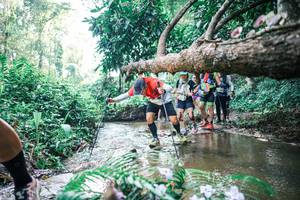 BIB: 
                            <button type="button" onclick="openModal(25452696)" class="btn btn-primary btn-sm float-right btn-popup" data-toggle="modal" data-target=".modal-high-quality">
                        <i class="fas fa-shopping-cart"></i> Add to Cart
                    </button>
                                            <button type="button" onclick="isThisMe(25452696, true)" class="btn btn-success btn-sm float-right btn-popup btn-isme hidden" data-toggle="tooltip" data-placement="bottom" title="นี่คือรูปของคุณใช่ไหม คลิกที่นี่เพื่อเอาเข้าอัลบั้ม">
                        <i class="fas fa-plus"></i> Add to album
                    </button>
                    <button type="button" onclick="isThisMe(25452696, false)" class="btn btn-warning btn-sm float-right btn-popup btn-isnotme hidden">
                        <i class="fas fa-ban"></i> Remove from album
                    </button>